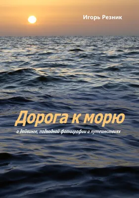 Исследование красоты: фотографии пути к морю