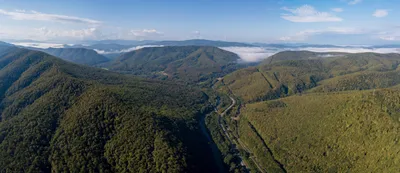 Путь к сердцу океана: фотографии дороги к морю