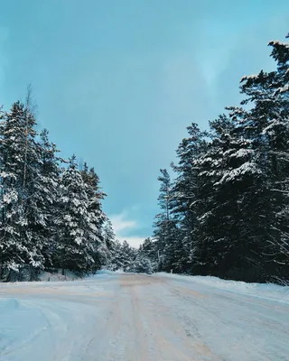 Зимние дороги: Изысканные фотографии