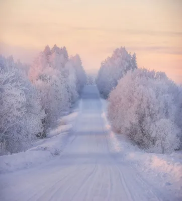 Зимние дороги: Очарование холода в изображениях