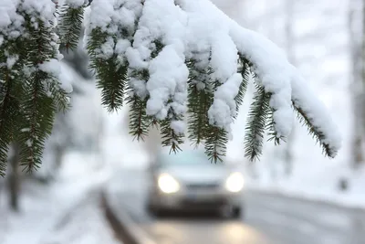 Фотографии зимы на дорогах: Загадочная атмосфера