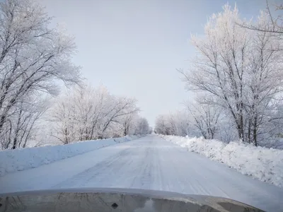 Ледяные дорожки: Картинки зимних путей