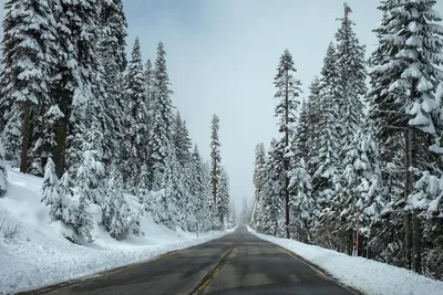 Фото зимних дорог: Ледяные шедевры
