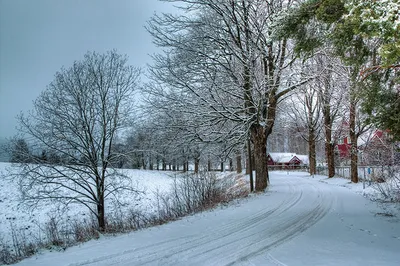 Зимние дороги: Снежные краски на каждом снимке