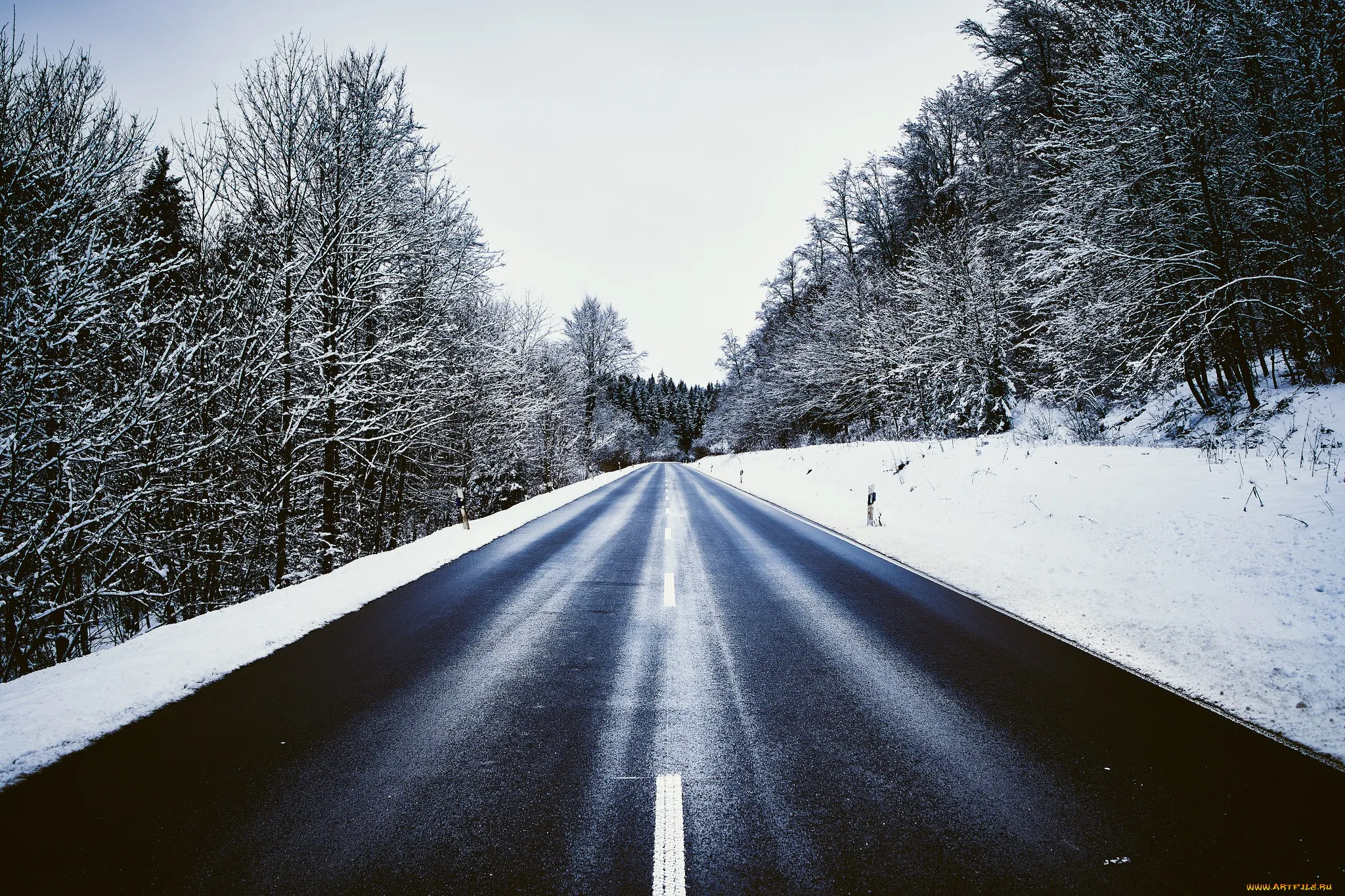 Тема зимней дороги. Зимняя дорога. Заснеженная дорога. Трасса зима. Зимняя дорога в лесу.