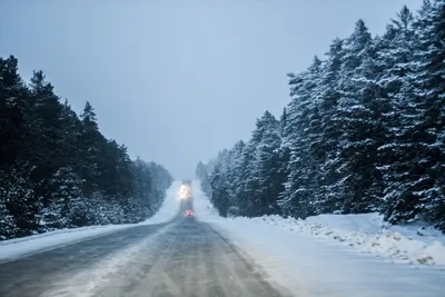 Зимние дороги: Путеводные светила зимнего пейзажа