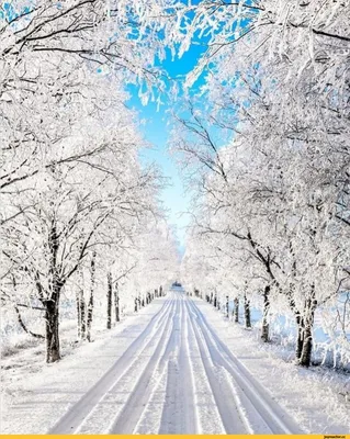 Фотографии зимних дорог в формате JPG