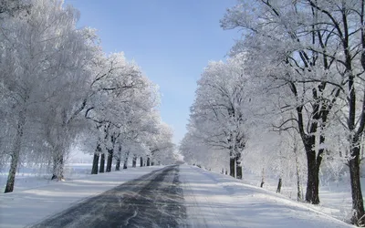 Зимние дороги: Великолепие на каждом снимке