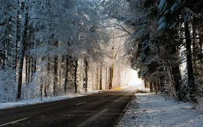 Изумительные дороги зимнего края: Фотогалерея
