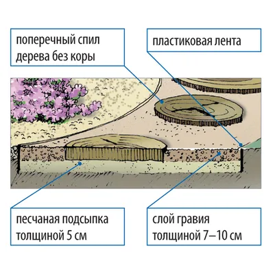 Фотк деревянных дорожек