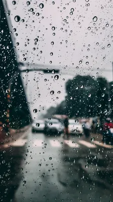Дождь hd в объективе: Моменты влажной красоты