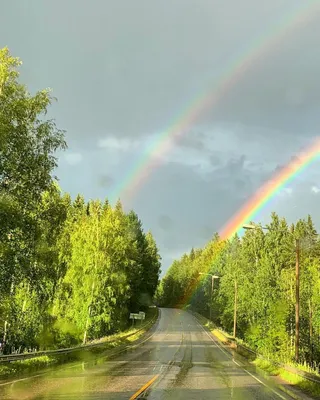 Волшебство природы: Дождь и радуга