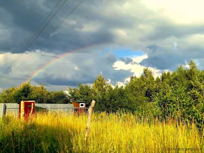 Природа во всей красе: 4K фото Дождя