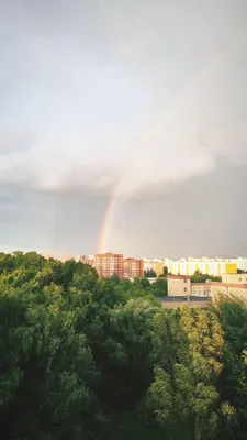 Дождевые капли на цветах: природное величие