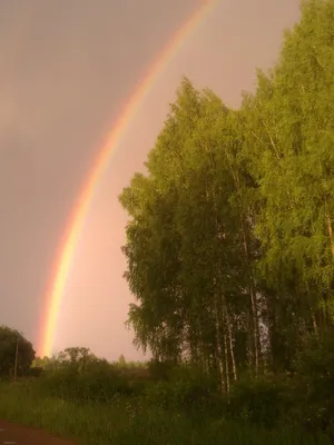 Радуга после дождя: Вдохновляющие изображения