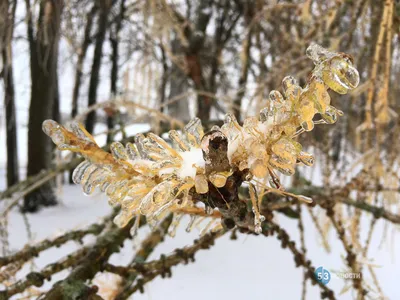 Дождливый арт: уникальные рисунки с мотивами дождя