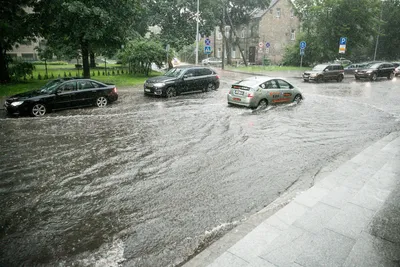 Волшебство капель: Увлекательные кадры дождя