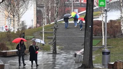 Фон с дождем в Москве: Рисунок на андроид.