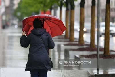 Дождь в Москве 2024: скачать бесплатно