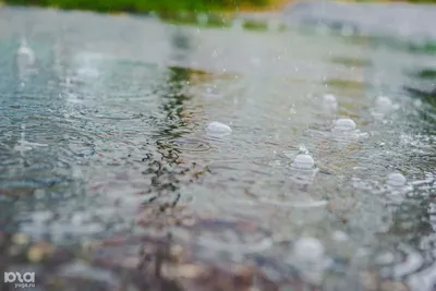 Дождь в новороссийске сегодня  фото
