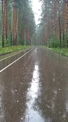 Уютные моменты под дождем в парке