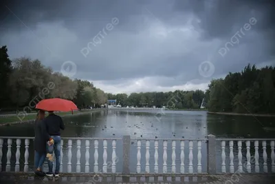 Дождь в парке фотографии