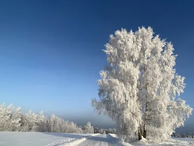 Зимний дождь: Фото с различными размерами