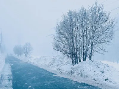 Дождь зимой: Фотографии с выбором формата