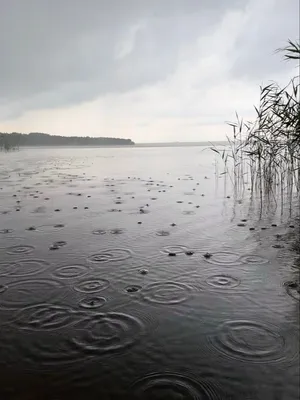 Картинка моря в дождь - атмосферное фото на андроид