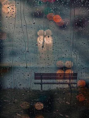 Дождя за окном  фото