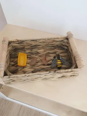 Качественные фотки древесных пчел