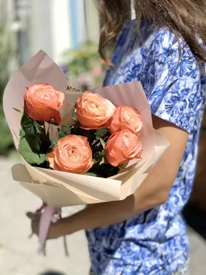 Фотография древовидной розы с вариантами размеров