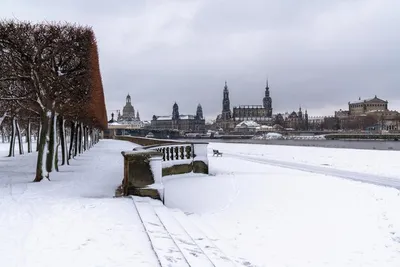 Загадочный Дрезден зимой: выберите формат для скачивания
