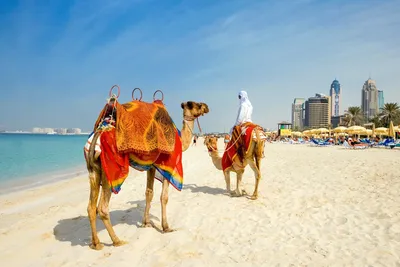 Изумительные пейзажи Дубайского пляжа на фото