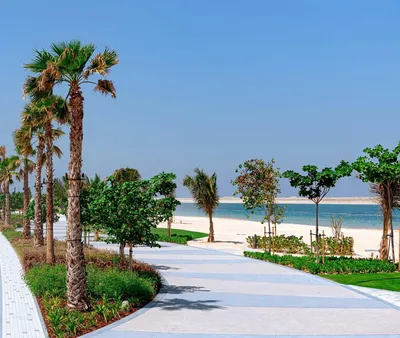 Великолепие Дубайского пляжа на фото