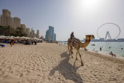 Фотоальбом с захватывающими видами Дубайского пляжа