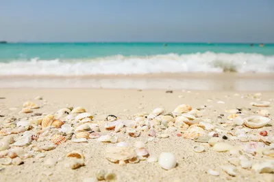 Откройте для себя красоту Дубайского пляжа на фото
