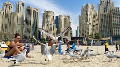 Зимние пейзажи Дубая: загрузка фото различных размеров