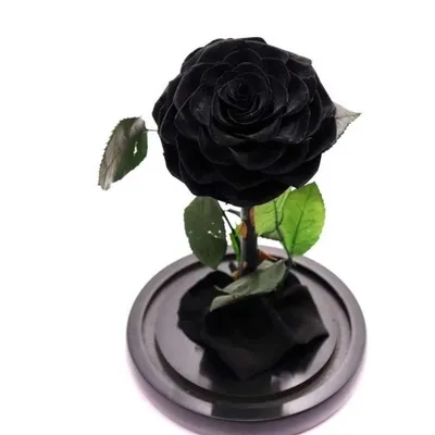 Фото, картинка, изображение: черная роза с возможностью выбора формата и размера