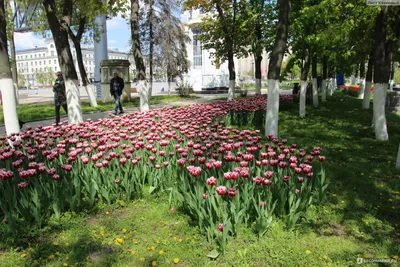 Очарование природы: Фото Двух рек белгородской области