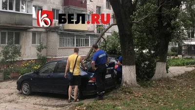 Фотографии двух рек Белгорода в 4K качестве - скачать бесплатно!