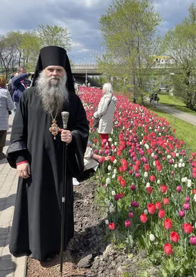 Фотографии двух рек Белгорода на 2024 год - бесплатно скачать!