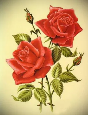 Изображение с двумя розами в формате webp