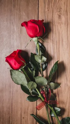 Увлекательное фото с двумя розами - jpg