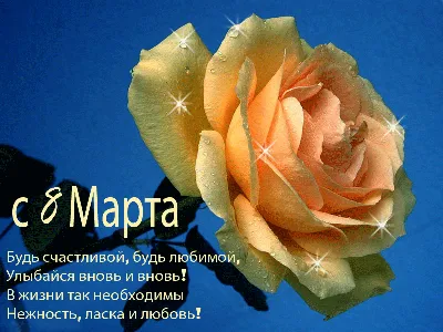 Фото 8 марта: яркие снимки