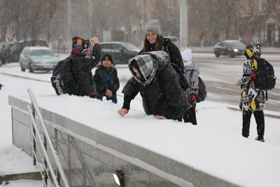 Зимние фоны с движущимся снегом: новые картинки в высоком качестве.