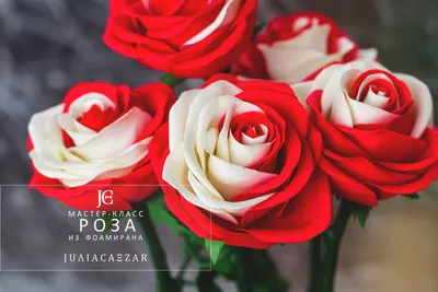 Фото великолепных двухцветных роз в формате webp для вас