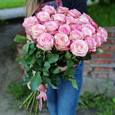 Фото двухцветной розы - идеальное украшение вашего рабочего стола