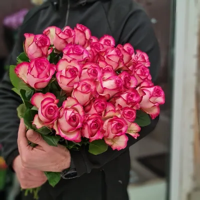 Красивые изображения двухцветных роз для оформления веб-страницы