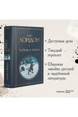 Иллюстрации, воплощающие страсть Джека Лондона к литературе и писательскому ремеслу